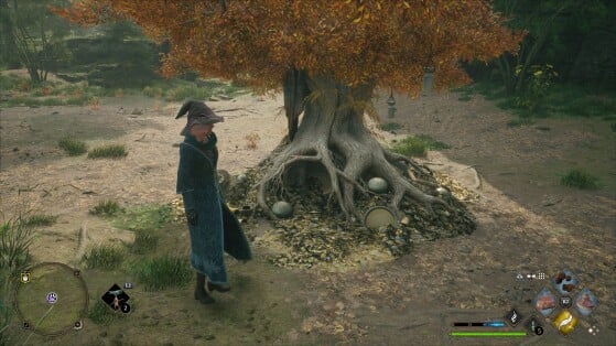 Hogwarts Legacy : L'Héritage de Poudlard