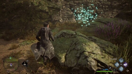 Hogwarts Legacy : L'Héritage de Poudlard