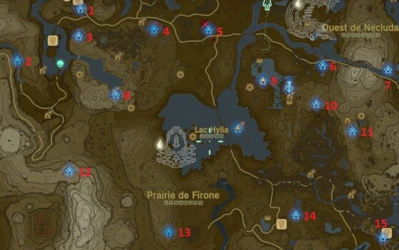 Firone - The Legend of Zelda : Tears of the Kingdom