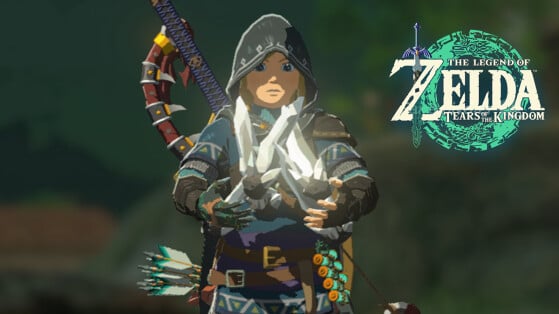 Rubis Zelda Tears of the Kingdom : 6 façons de gagner de l'argent rapidement