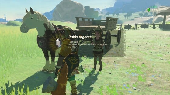 The Legend of Zelda : Tears of the Kingdom