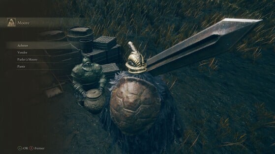 Elden Ring Shadow of the Erdtree