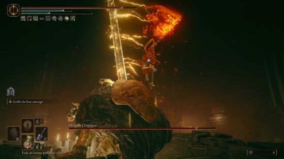 Elden Ring Shadow of the Erdtree