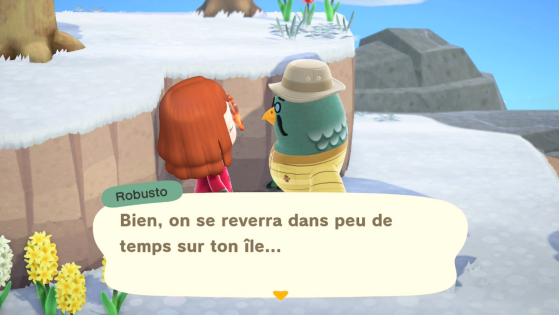 Animal Crossing New Horizons